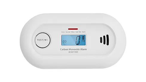 Carbon Monoxide Detector Test Video
